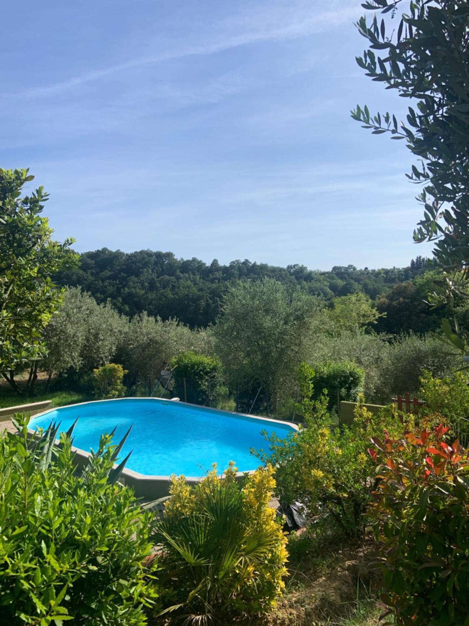 Casa Verde Country House Montescudaio Exterior foto